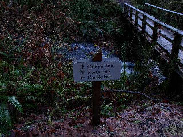 Silver Falls 12.10.05 054 